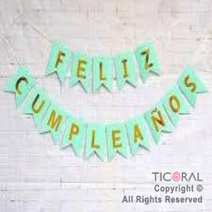 BANDERIN FELIZ CUMPLEA�OS PARTY VERDE PASTEL CON STAMPING x 1